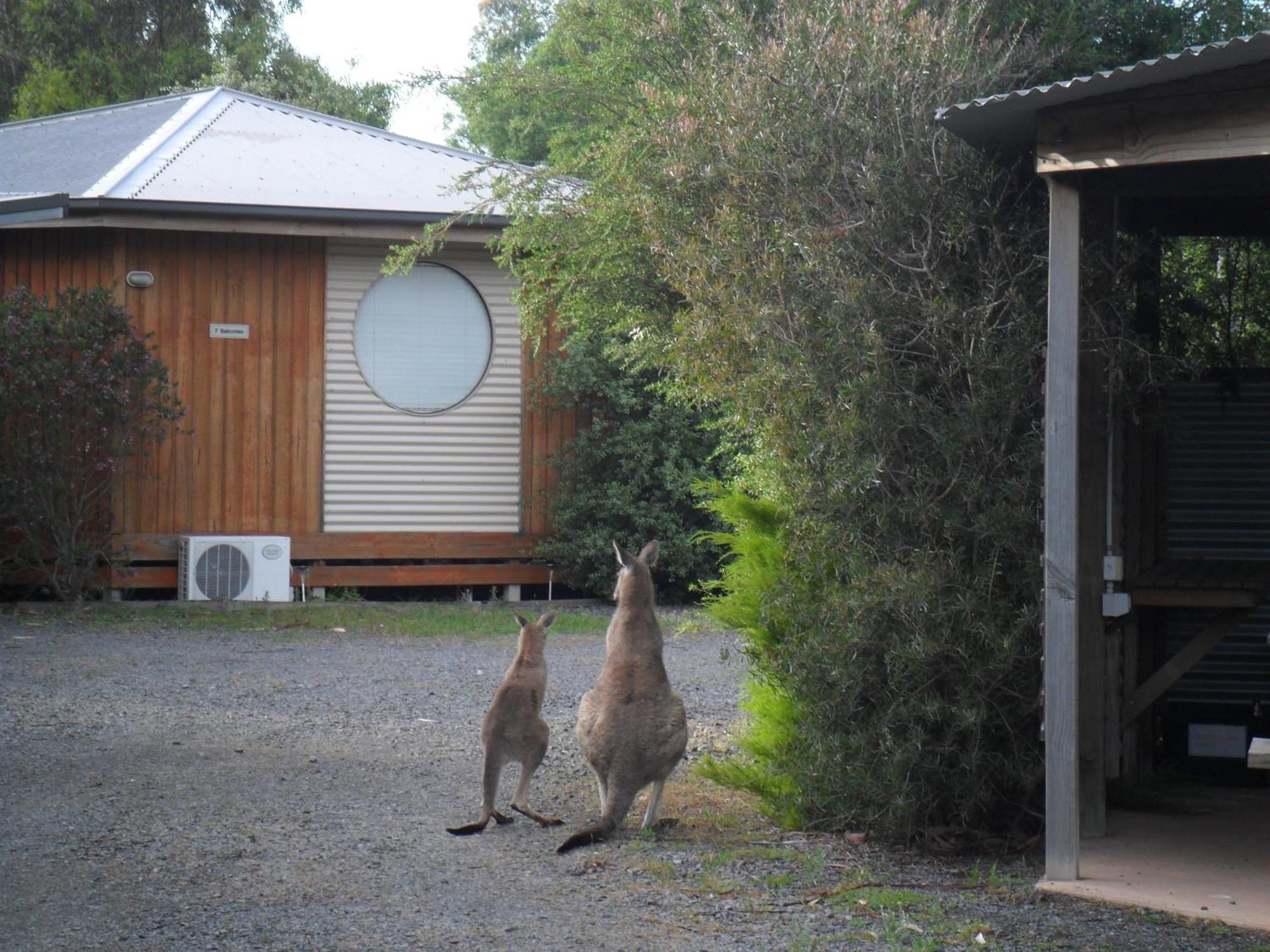 Grampians Chalets Halls Gap Eksteriør bilde