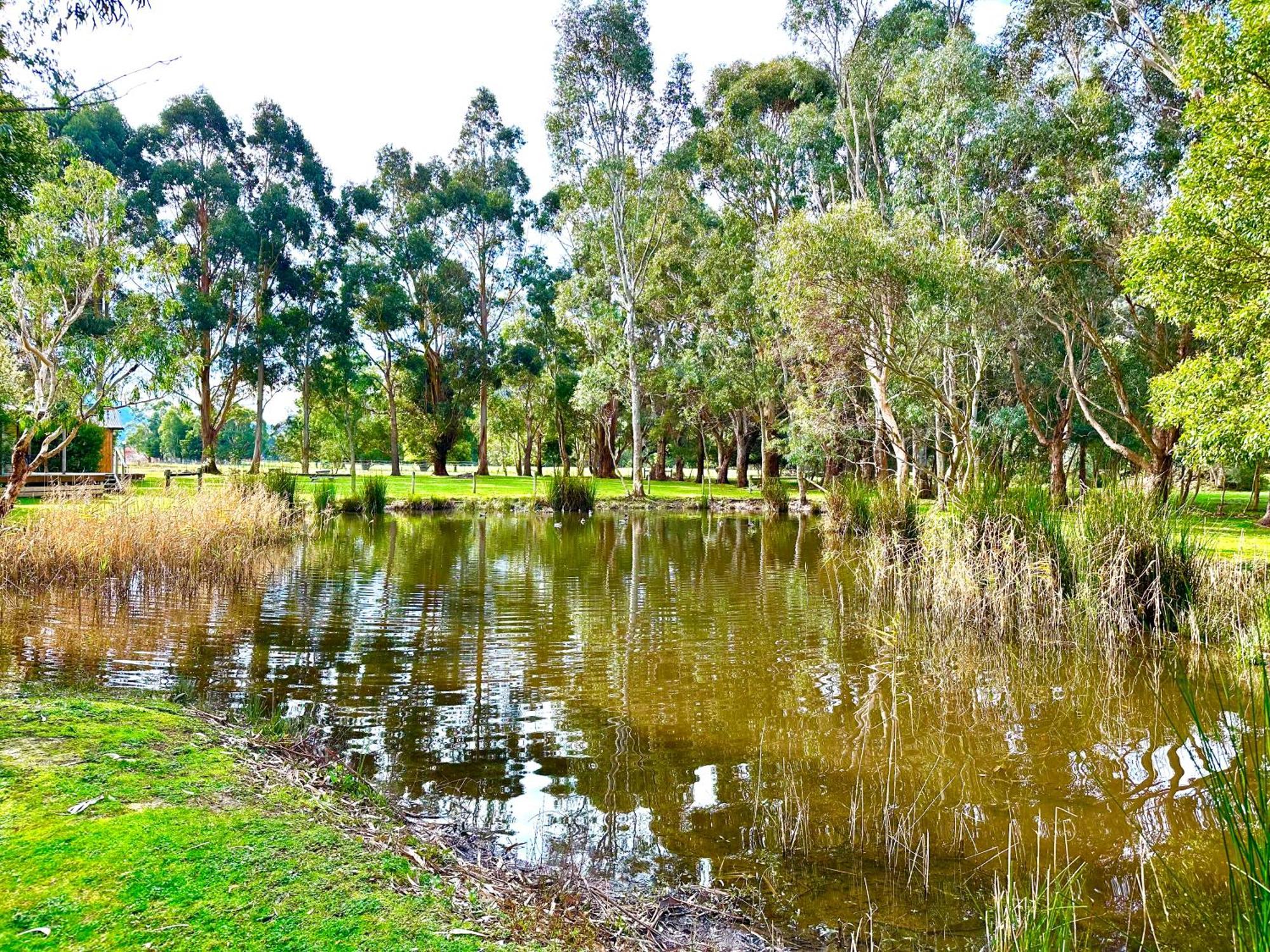 Grampians Chalets Halls Gap Eksteriør bilde
