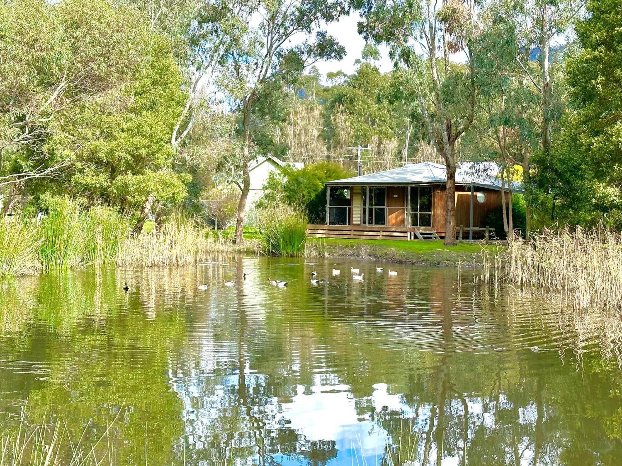 Grampians Chalets Halls Gap Eksteriør bilde